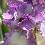 DSCN0058.JPG